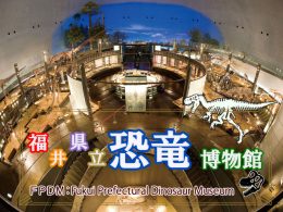 FPDM：福井県立恐竜博物館