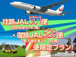 往路JAL501便・復路JAL528便限定プラン！