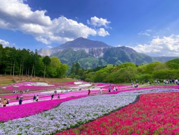 羊山公園