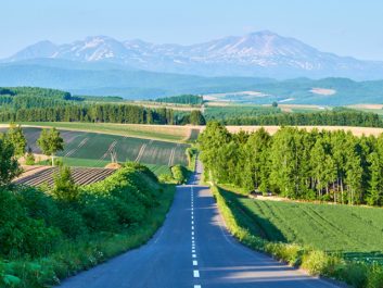 就実の丘（しゅうじつのおか）