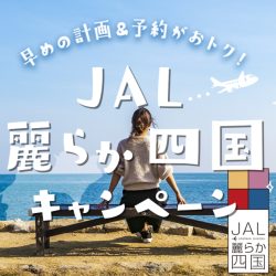 JAL麗らか四国キャンペーン2024