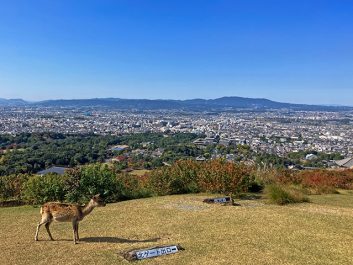 若草山