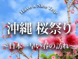 沖縄桜祭りに行こう