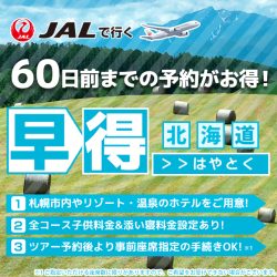 北海道早割60（1/3カラム）