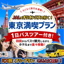 東京観光バスツアー(1/3カラム)