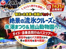 冬の北海道！絶景巡りバスツアー
