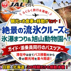 層雲峡氷瀑ツアー(東京発)