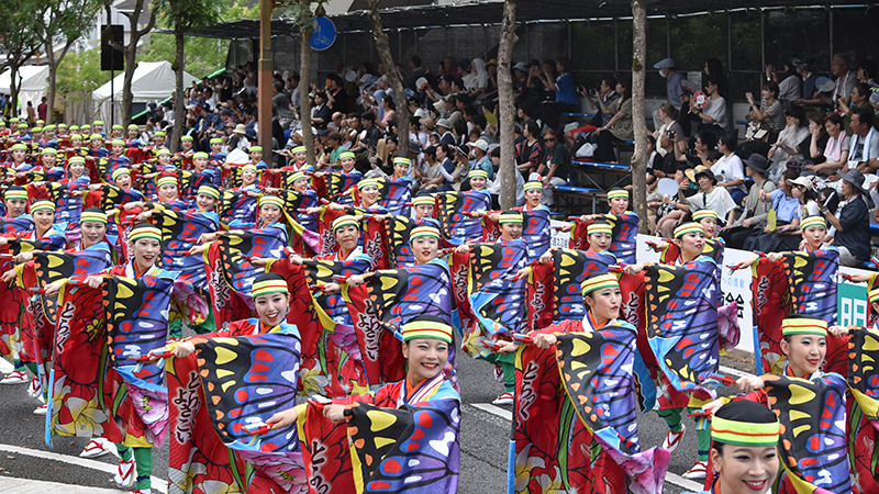 よさこい祭り