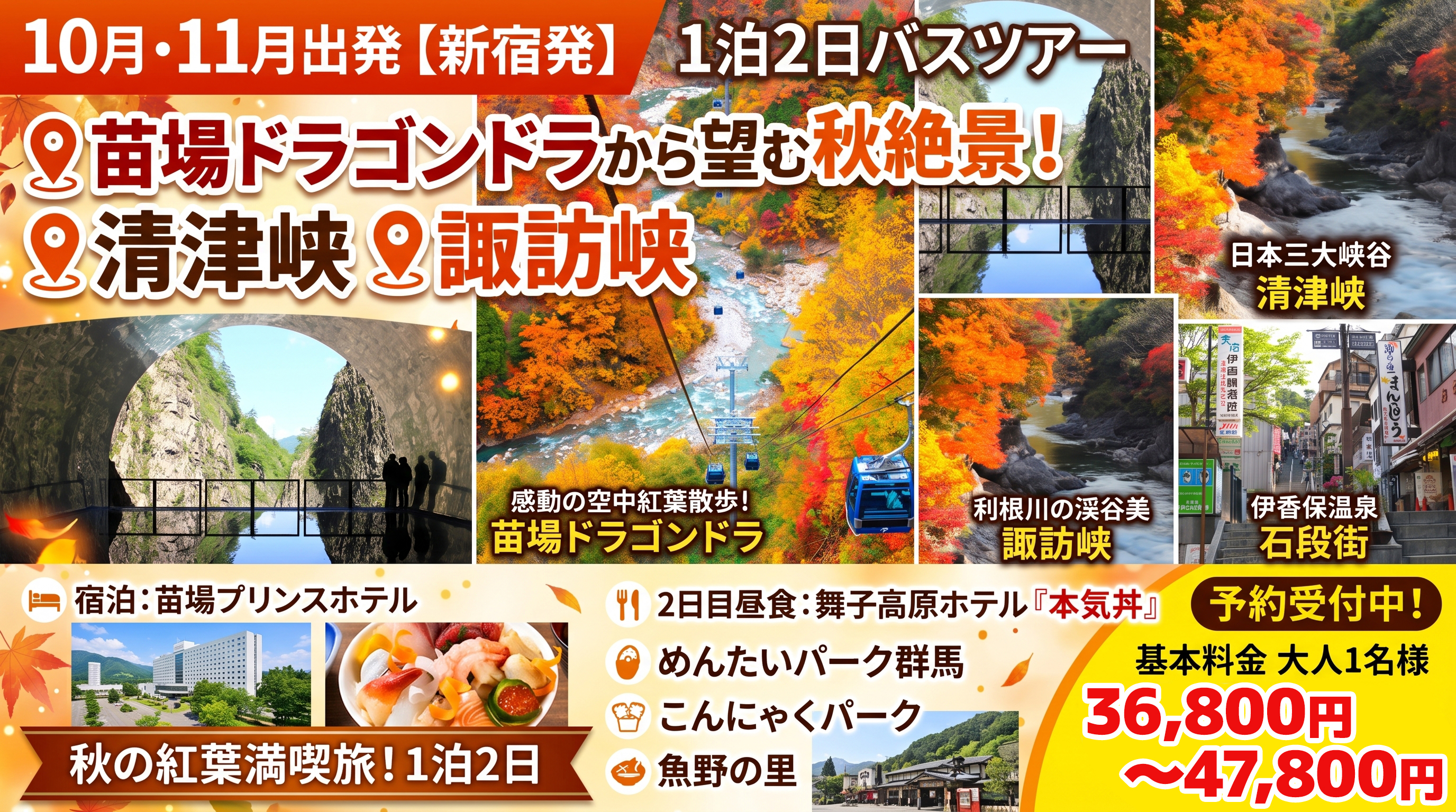【新宿発】苗場ドラゴンドラから望む秋絶景！