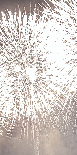 新宿発バスツアーイメージ