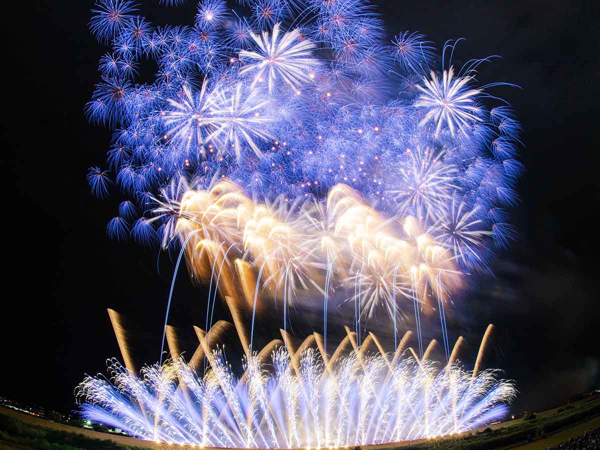 神明の花火大会:笛吹川の川面を黄金色に染め上げる超特大しだれ柳
