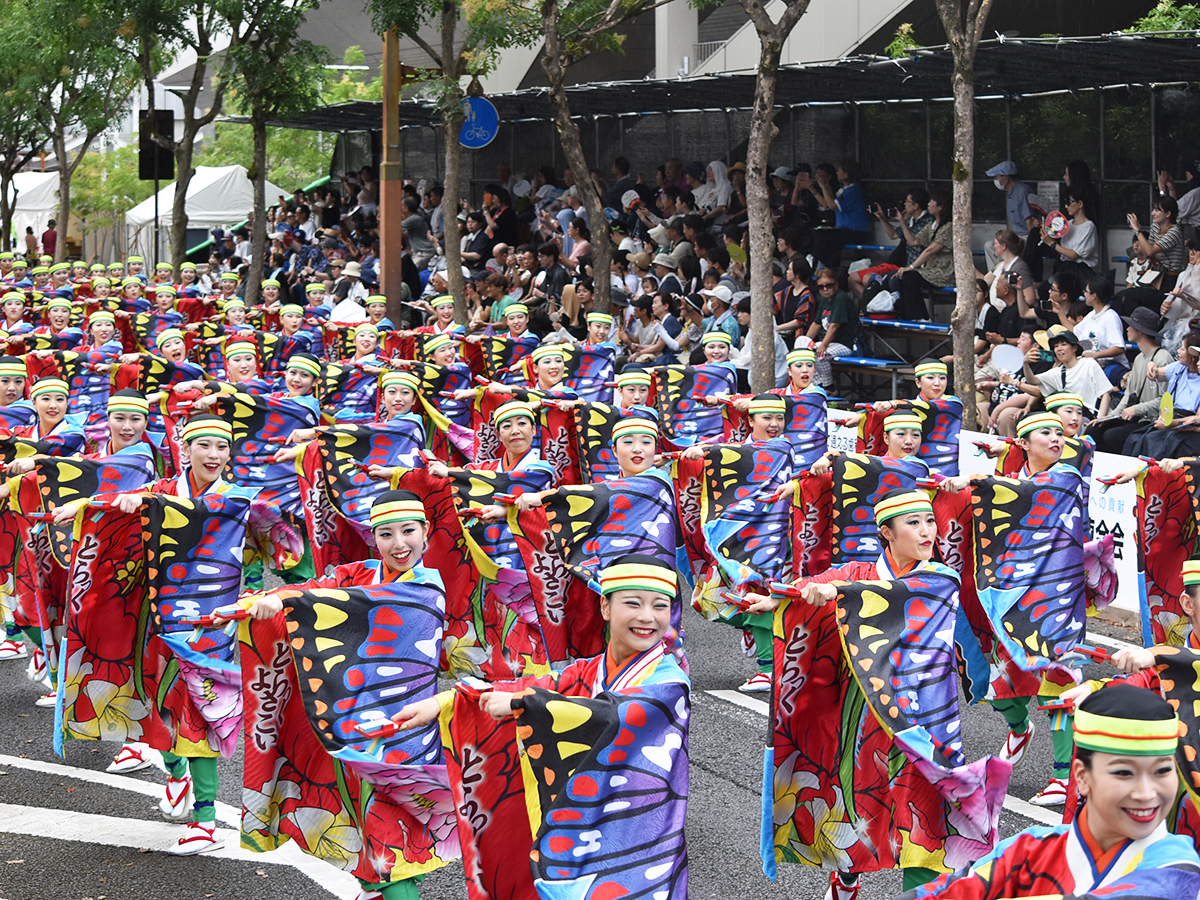 高知よさこい祭りの追手筋本部競演場における熱狂的な演舞の様子