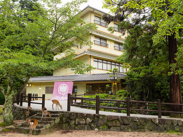 国民宿舎みやじま 杜の宿