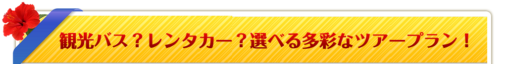 ツアーラインナップ