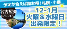 【名古屋発】予定が合えば断然お得！