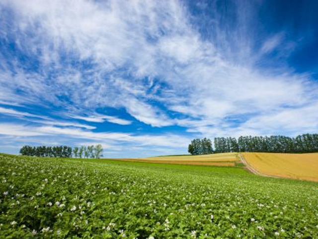 富良野イメージ