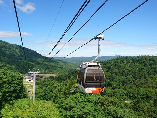 カラフルルスツ