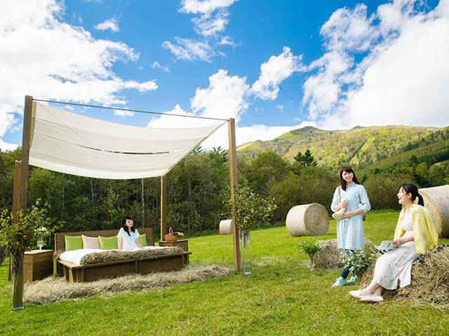 トマム 牧草ベッド