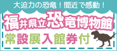 福井県立恐竜博物館常設展入館券付  