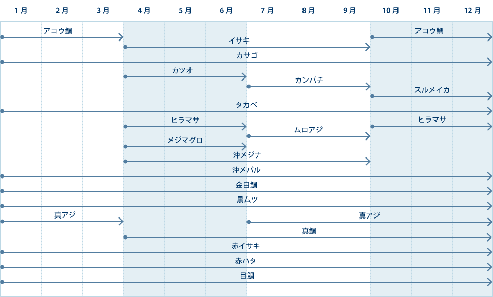 大島で釣れる魚カレンダー