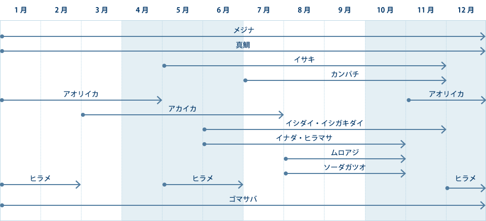 式根島・新島で釣れる魚カレンダー