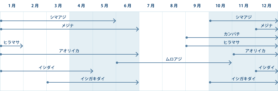 三宅島で釣れる魚カレンダー