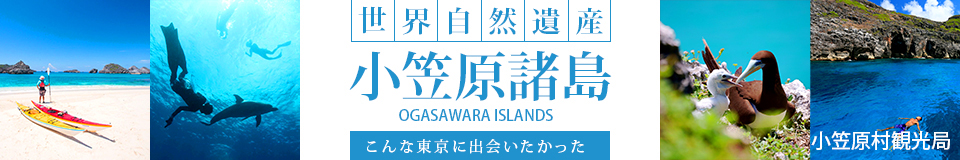 世界自然遺産の島「小笠原諸島」へ行こう！