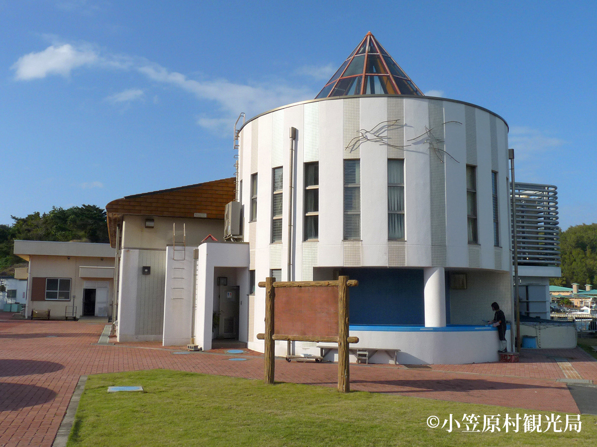 小笠原水産センター | 小笠原 | 船で行く！伊豆諸島・小笠原諸島ツアーならオリオンツアー