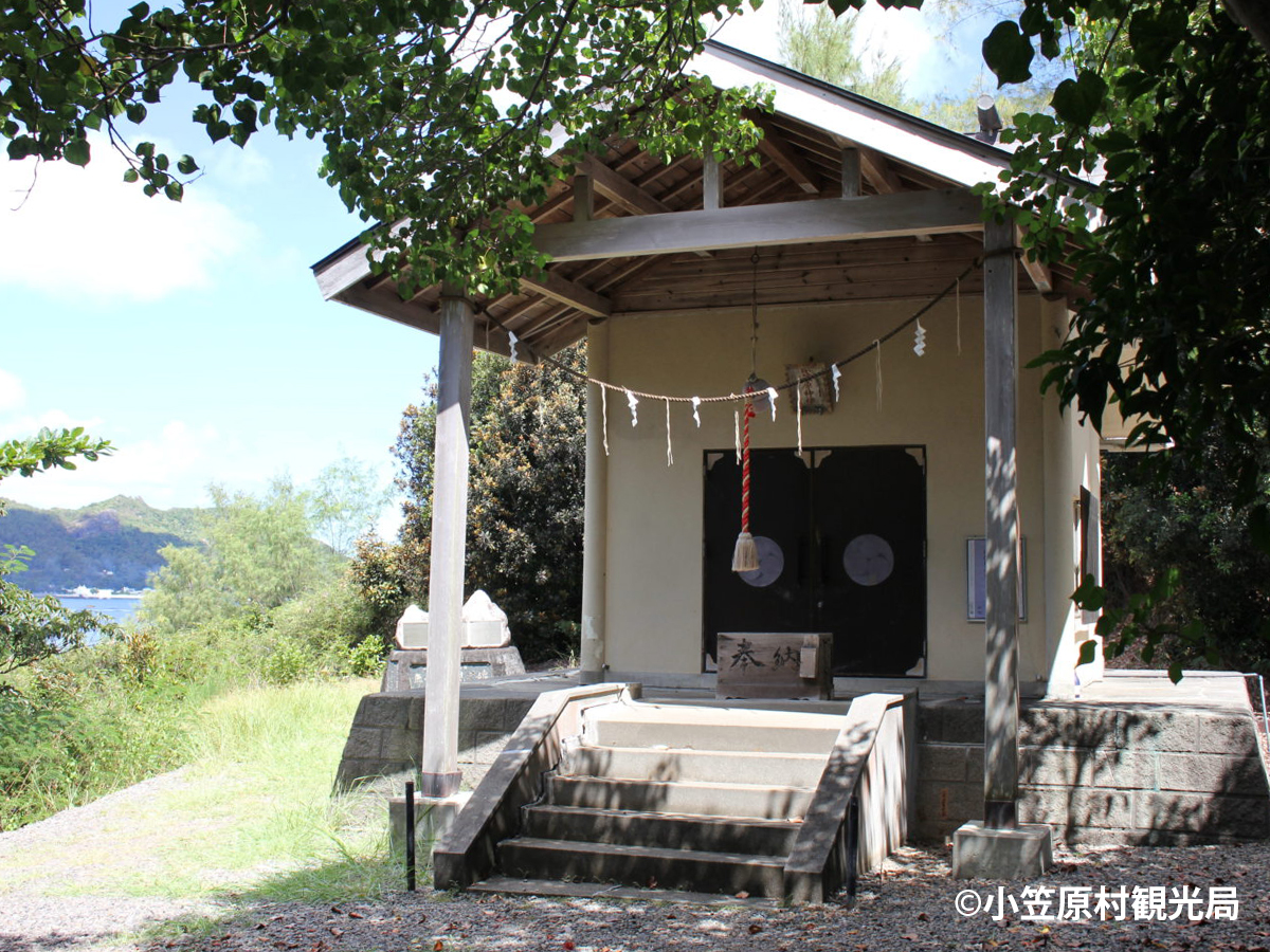 中古】 伊豆七島・小笠原 第11版/昭文社