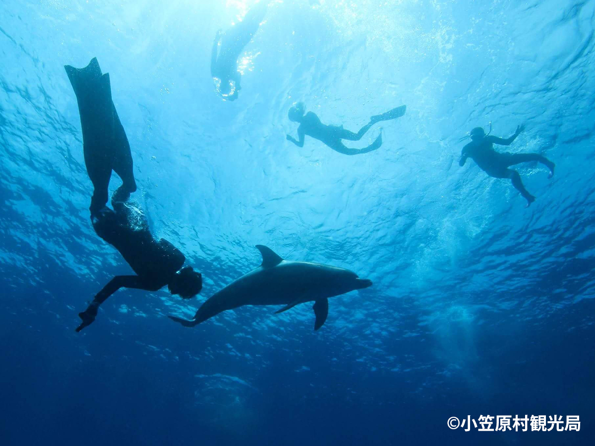 世界自然遺産 小笠原 ～ボニンブルーの海～【ブルーレイ】 &#160