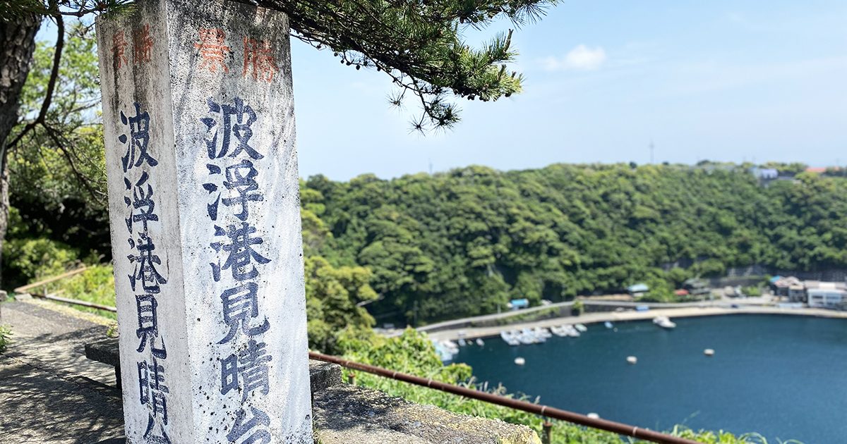 habu-2026001-1200x900-1-