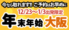 【年末年始出発限定】今なら取れます！