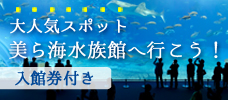 沖縄本島に行くなら外せない！<br>「美ら海水族館」入館券付特集