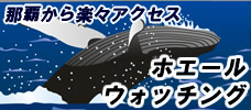 感動のホエールウォッチングツアー付！12月22日-3月30日出発