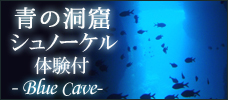 【各地発】大人気！神秘の青の洞窟へ！<br> シュノーケル&魚の餌付け体験付