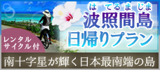 【羽田発】日本最南端の島・波照間島！<br> 石垣島からの往復乗船券+レンタサイクル付