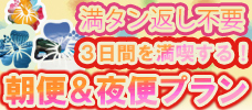 【羽田発】ガソリン満タン返し不要！朝便＆夜便で行く沖縄3日間！