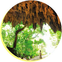 ガンガラーの谷