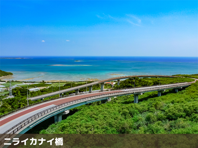 本島チョイスプラン