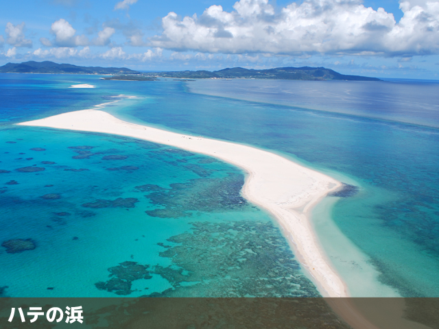 久米島チョイスプラン