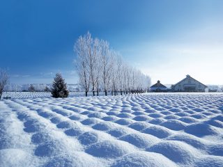 富良野・美瑛のおすすめ旅行プラン・モデルコース