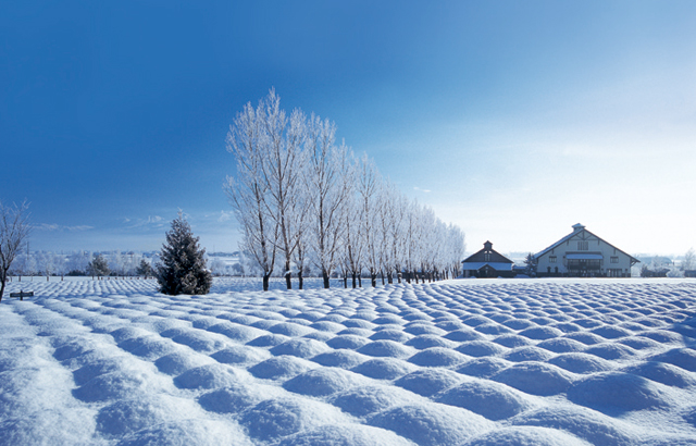 富良野・美瑛