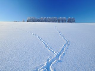 北海道