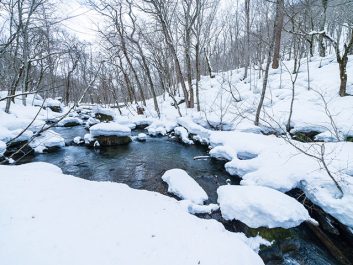 奥入瀬渓流