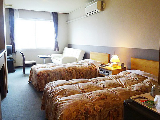 洋室(15~20m²)