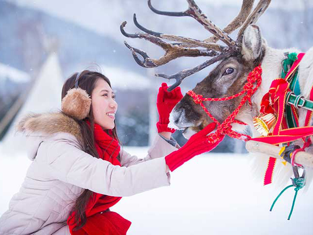 ファームクリスマス