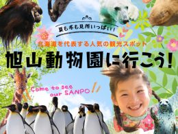 旭山動物園に行こう！