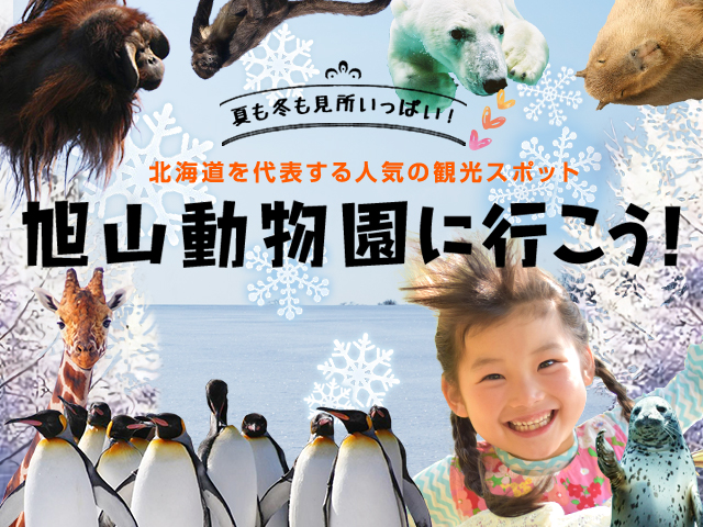 旭山動物園に行こう！