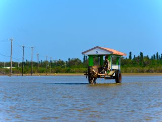 はじめての離島観光におすすめ！石垣島を拠点に西表・由布・竹富3島めぐりを満喫！八重山2泊3日観光モデルコース