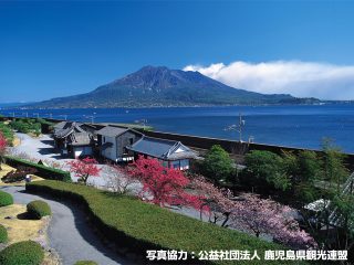 鹿児島県の世界文化遺産と世界自然遺産どちらも観に行こう！鹿児島市内＆屋久島3泊4日観光モデルコース